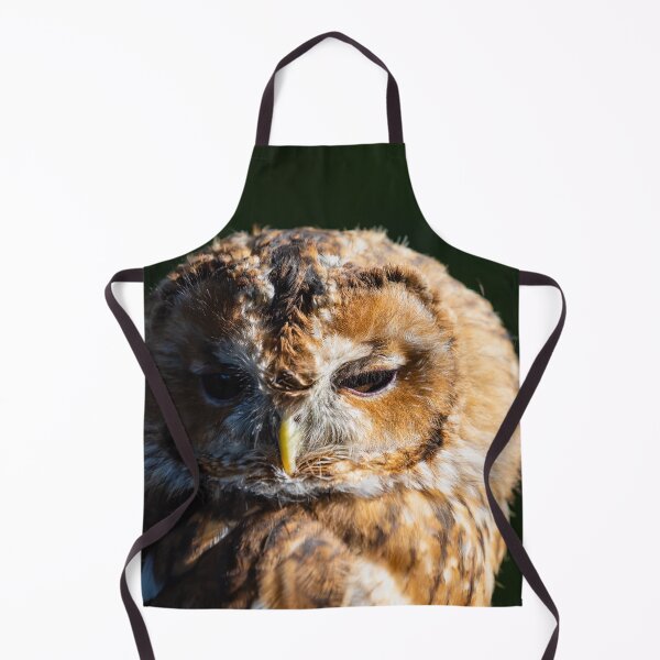 Item preview, Tawny Owl, Strix aluco designed and sold by Graham Prentice.