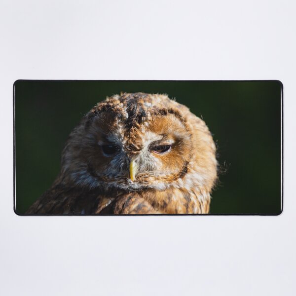 Item preview, Tawny Owl, Strix aluco designed and sold by Graham Prentice.