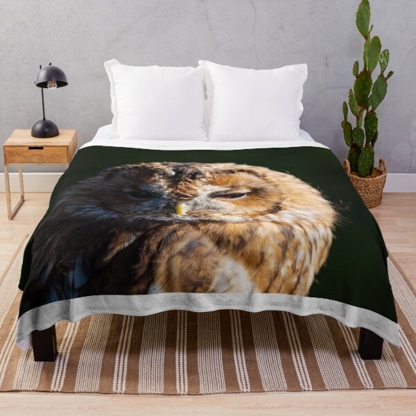 Item preview, Tawny Owl, Strix aluco designed and sold by Graham Prentice.