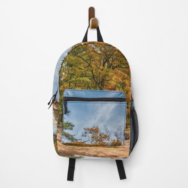Item preview, Blustery Autumn Day by the Lake designed and sold by wildvalecreate.