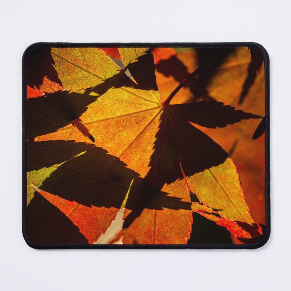Item preview, Backlit Acer Palmatum Leaves designed and sold by Graham Prentice.