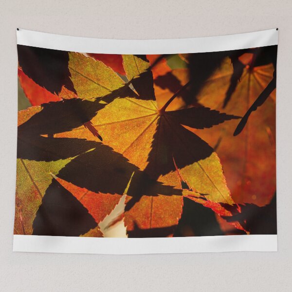 Item preview, Backlit Acer Palmatum Leaves designed and sold by Graham Prentice.