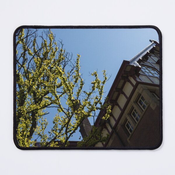 Item preview, Amsterdam Spring - Characteristic Facade Plus Unusual Tree - Left designed and sold by Georgia Mizuleva.