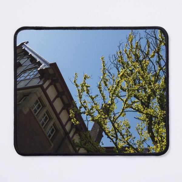 Item preview, Amsterdam Spring - Characteristic Facade Plus Unusual Tree - Right designed and sold by Georgia Mizuleva.