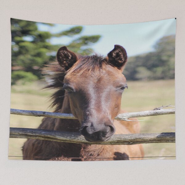 Item preview, Horse designed and sold by Anthony's  images.
