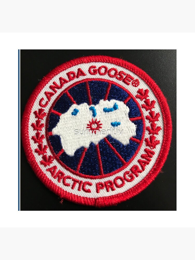 Disover Goose patch Pin Button