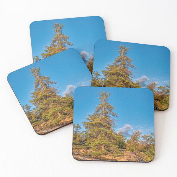Item preview, Golden Hour White Pine designed and sold by wildvalecreate.