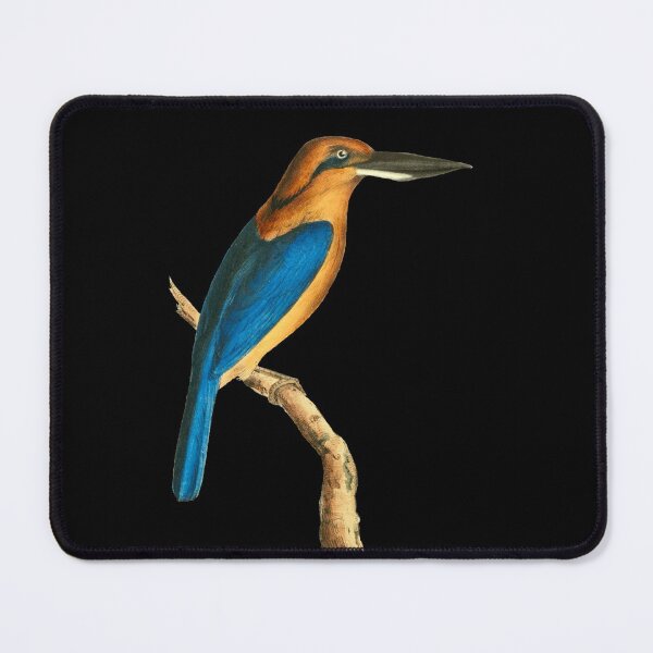 Item preview, Beautiful illustration of a Cinnamon Crabeater bird designed and sold by Floradigital.