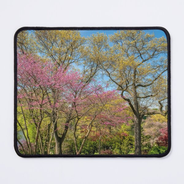 Item preview, Flowering Spring Trees designed and sold by wildvalecreate.