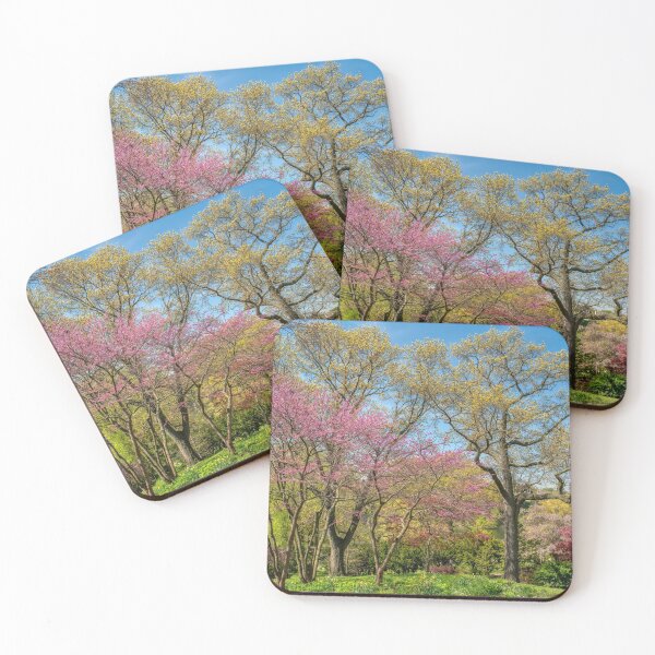 Item preview, Flowering Spring Trees designed and sold by wildvalecreate.