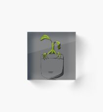 In Pocket Acrylic Block