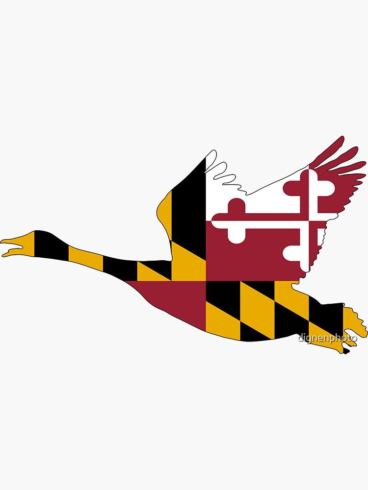 Thumbnail 3 of 3, Sticker, Maryland Goose designed and sold by dignenphoto.