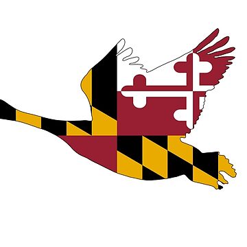 Artwork thumbnail, Maryland Goose by dignenphoto