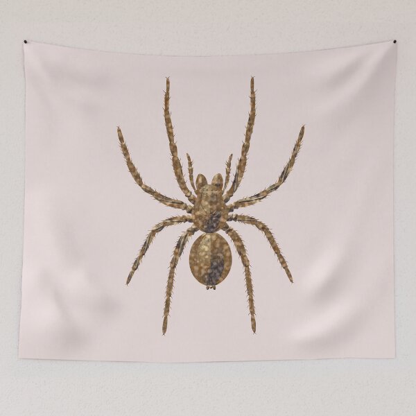 Item preview, Brown spider tarantula designed and sold by Elonium.
