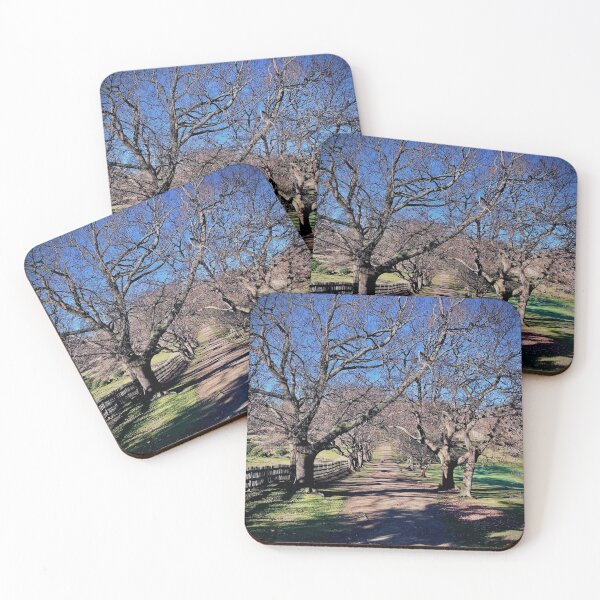 Item preview, Port Arthur Tree Tunnel Walkway, Tasmania, Australia designed and sold by adrianolemura.