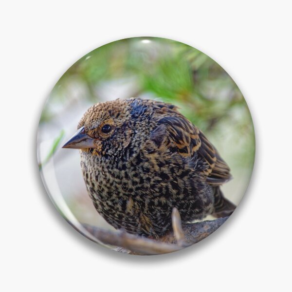 Item preview, Bird on a branch, Yellowstone Wyoming designed and sold by littlecolor.