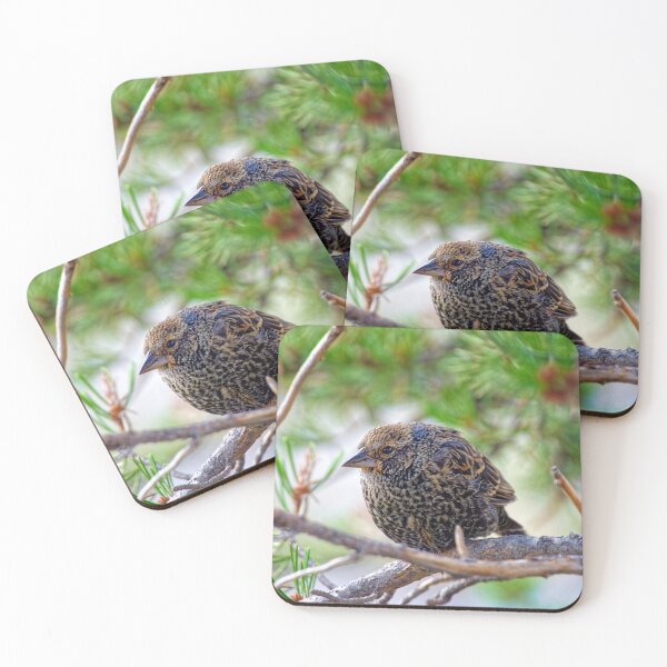 Item preview, Bird on a branch, Yellowstone Wyoming designed and sold by littlecolor.
