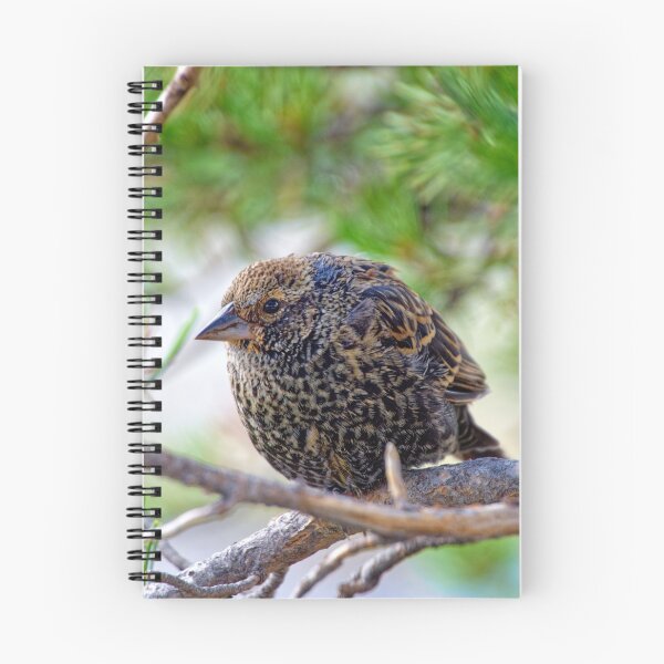 Item preview, Bird on a branch, Yellowstone Wyoming designed and sold by littlecolor.