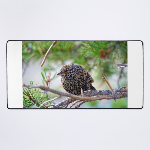 Item preview, Bird on a branch, Yellowstone Wyoming designed and sold by littlecolor.