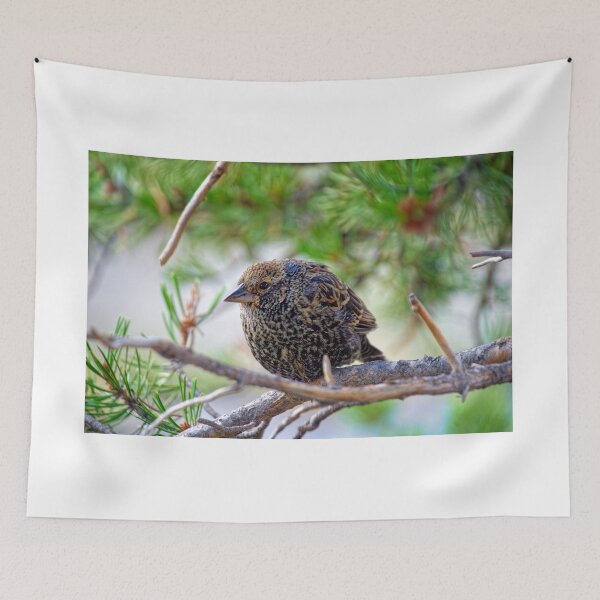 Item preview, Bird on a branch, Yellowstone Wyoming designed and sold by littlecolor.