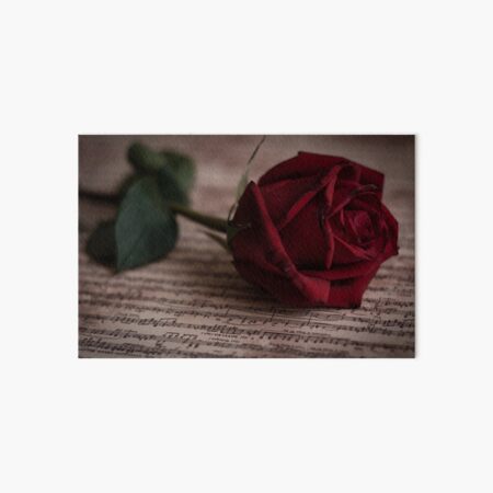 Artikel-Vorschau von Rose auf dem Musikbuch, designt und verkauft von heiseihi.