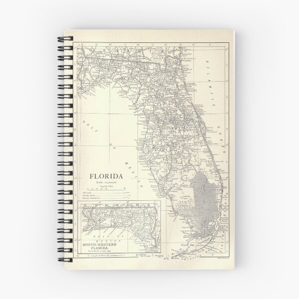 Item preview, mapa de florida designed and sold by talialevyy.