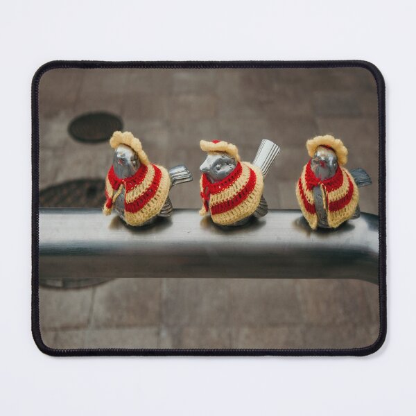 Item preview, Sweater Birdies designed and sold by JLPhotographer.