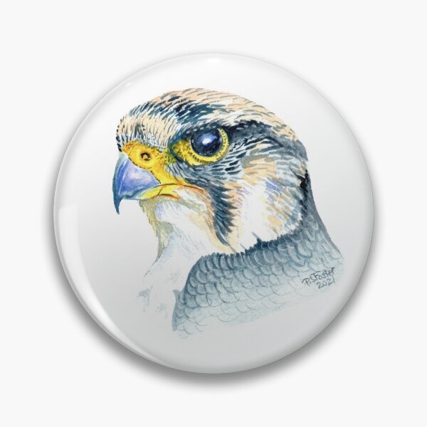 Item preview,  Lanner falcon portrait No 2 designed and sold by Fozzyartsales.