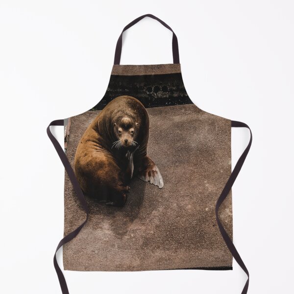 Item preview, Plotting Sea Lion designed and sold by JLPhotographer.