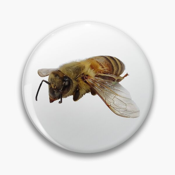 Item preview, Florida Honey Bee designed and sold by BlauesSternWolf.