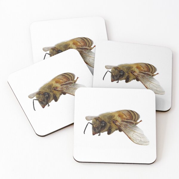 Item preview, Florida Honey Bee designed and sold by BlauesSternWolf.