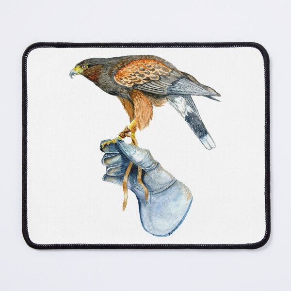 Item preview, Harris hawk on glove No 2 designed and sold by Fozzyartsales.