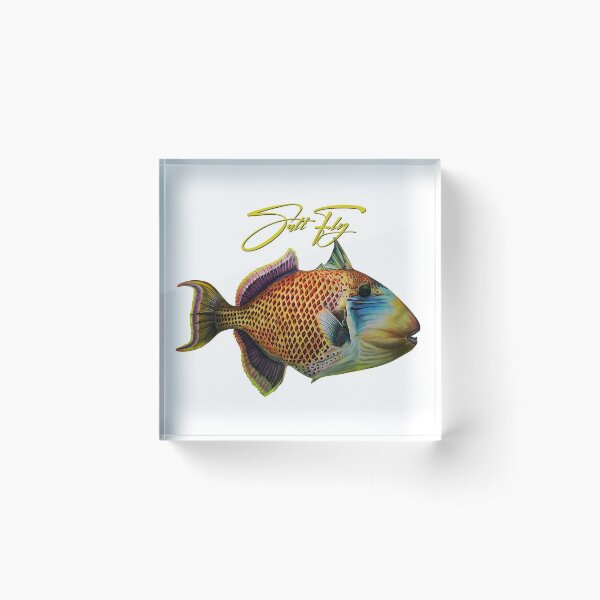 Item preview, Trigger Fish designed and sold by Paul Kyriakides.