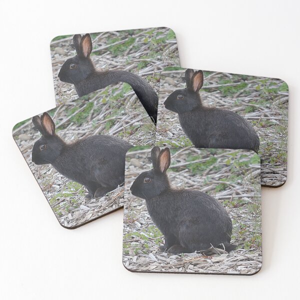 Item preview, Black Rabbit designed and sold by Godisgr8t2me.