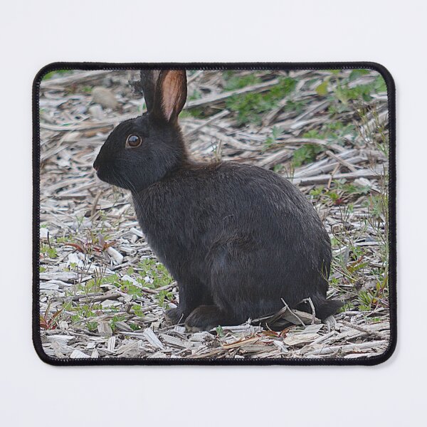 Item preview, Black Rabbit designed and sold by Godisgr8t2me.