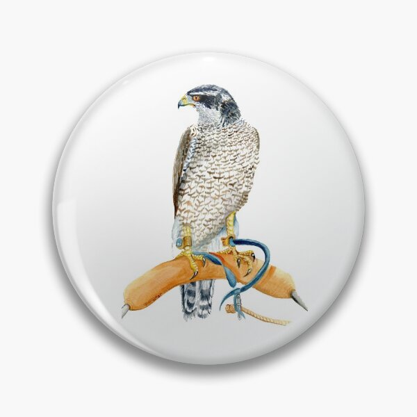 Item preview, Goshawk on bow perch designed and sold by Fozzyartsales.