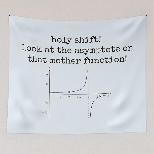 Item preview, Holy Shift! Look at the Asymptote on that Mother Function! designed and sold by andmarstan.