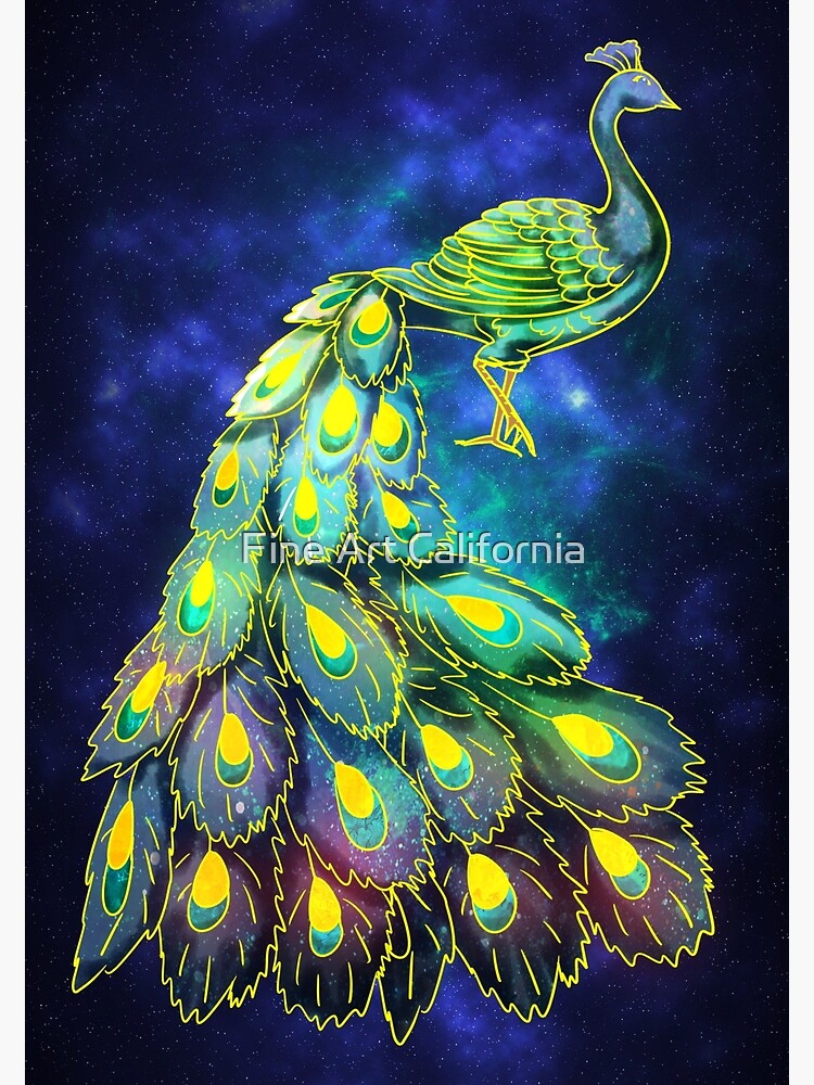 Australian Cartoon Peacock for Childrens Coloring Book | MUSE AI
