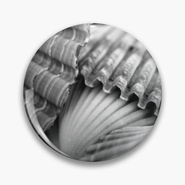 Item preview, Sea Shells II BW designed and sold by Kathie Nichols.