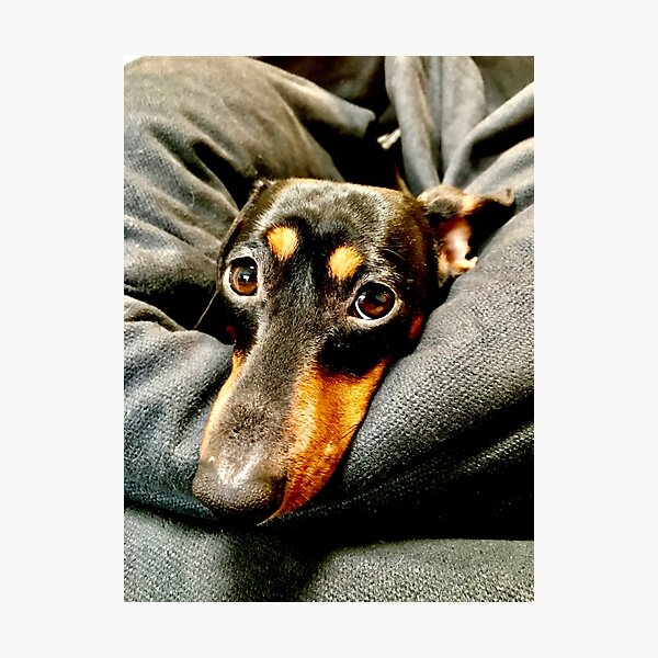 Sizzles Photographic Print