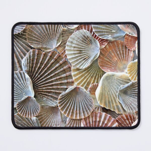 Item preview, Scallop Shells I designed and sold by Kathie Nichols.
