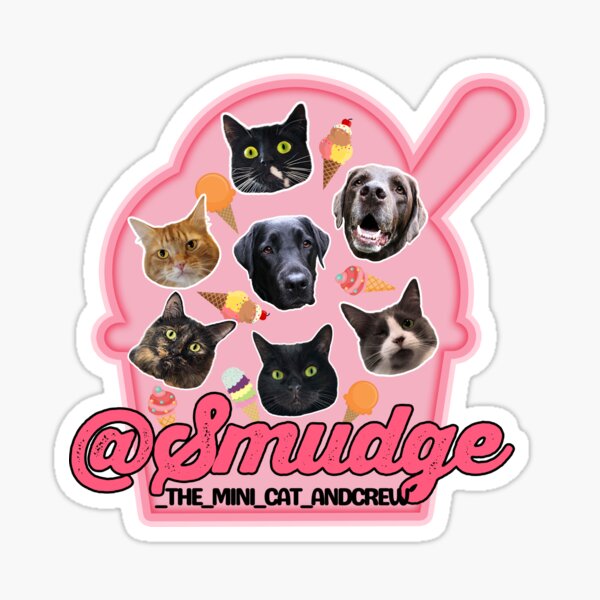 SMUDGE CAT  Sticker for Sale by 1R1S