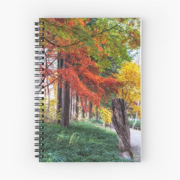 Item preview, Autumn fall foliage in Nami Island designed and sold by aaronchoi.