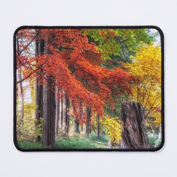 Item preview, Autumn fall foliage in Nami Island designed and sold by aaronchoi.