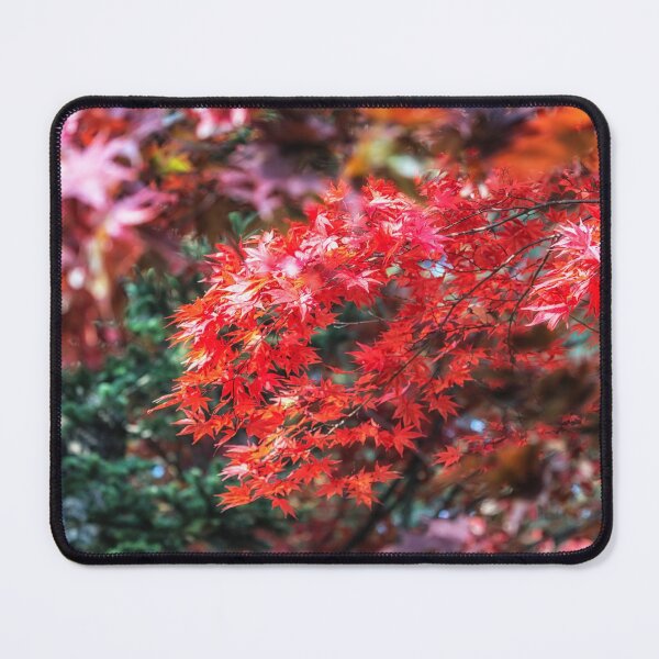 Item preview, Red maple tree foliage designed and sold by aaronchoi.