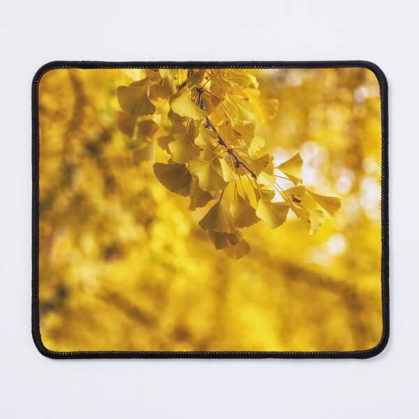 Item preview, Gingko tree leaves designed and sold by aaronchoi.