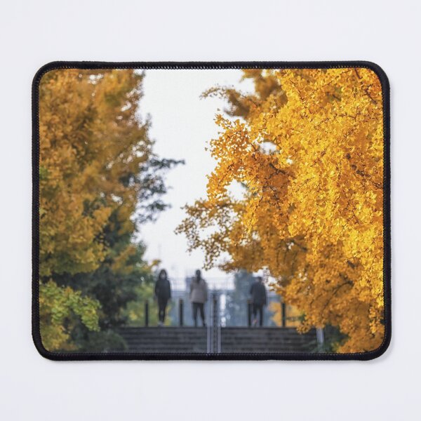 Item preview, Gingko tree leaves designed and sold by aaronchoi.