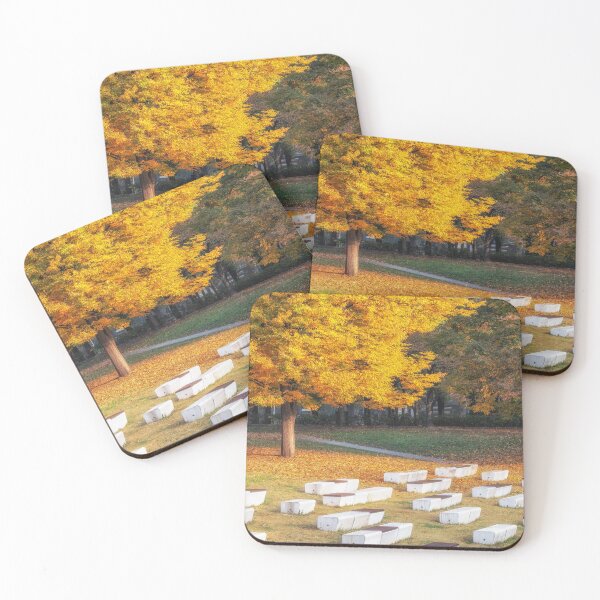 Item preview, Seoul forest autumn scenery designed and sold by aaronchoi.