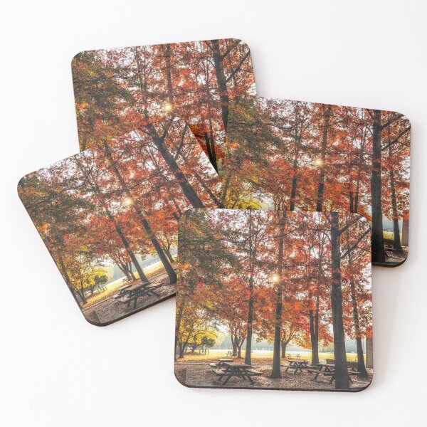 Item preview, Seoul forest autumn scenery designed and sold by aaronchoi.