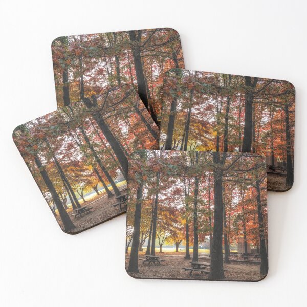 Item preview, Seoul forest autumn scenery designed and sold by aaronchoi.